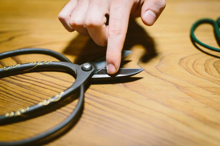 Nghệ thuật làm kéo thủ công của nghệ nhân Nhật Bản Yasuhiro Hirakawa